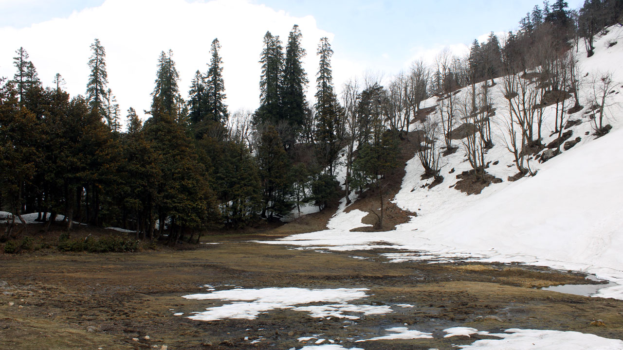 The photo for the Lamadugh trip shows a camp spot with a level meadow surrounded by trees and snow for lamadugh trek