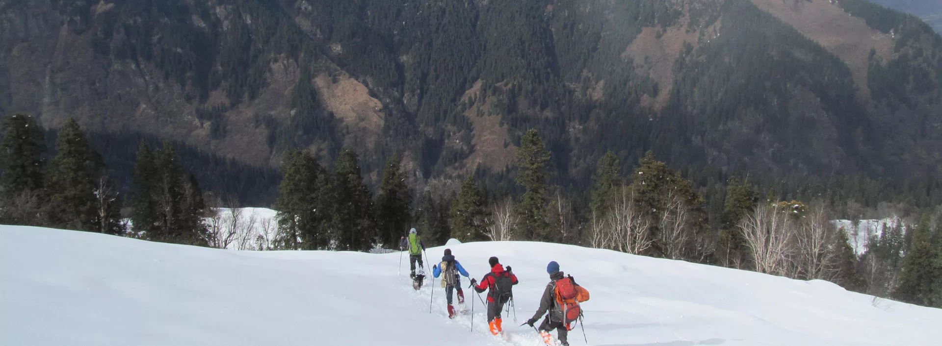 Four skiers descend from the Khenpari Tibba Trek.