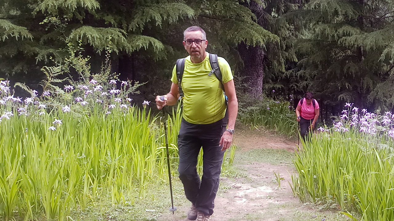 elderly person walking with stick on Lamadugh day hike