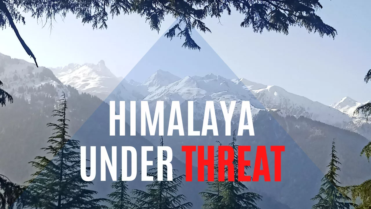 Himalaya is under threat poster with Pir Panjal mountain in distance and deodar tree in front
