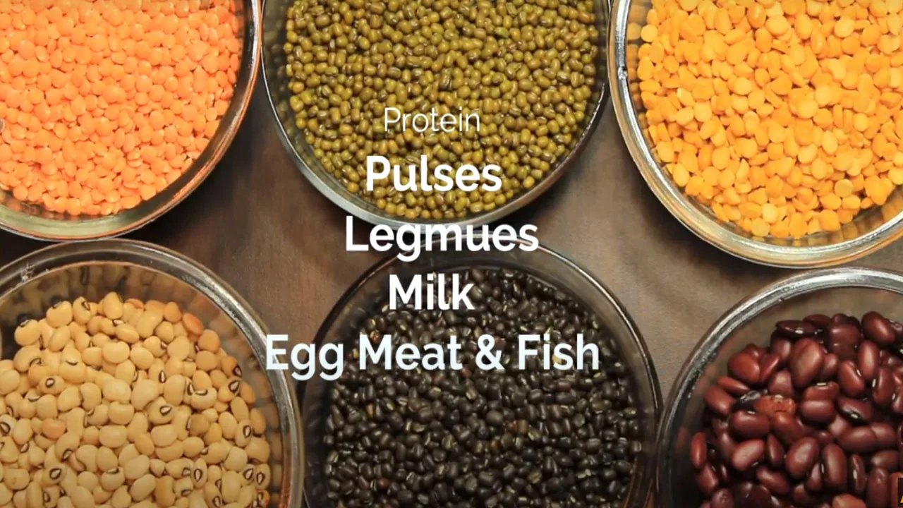 pulses legumes lentils, 