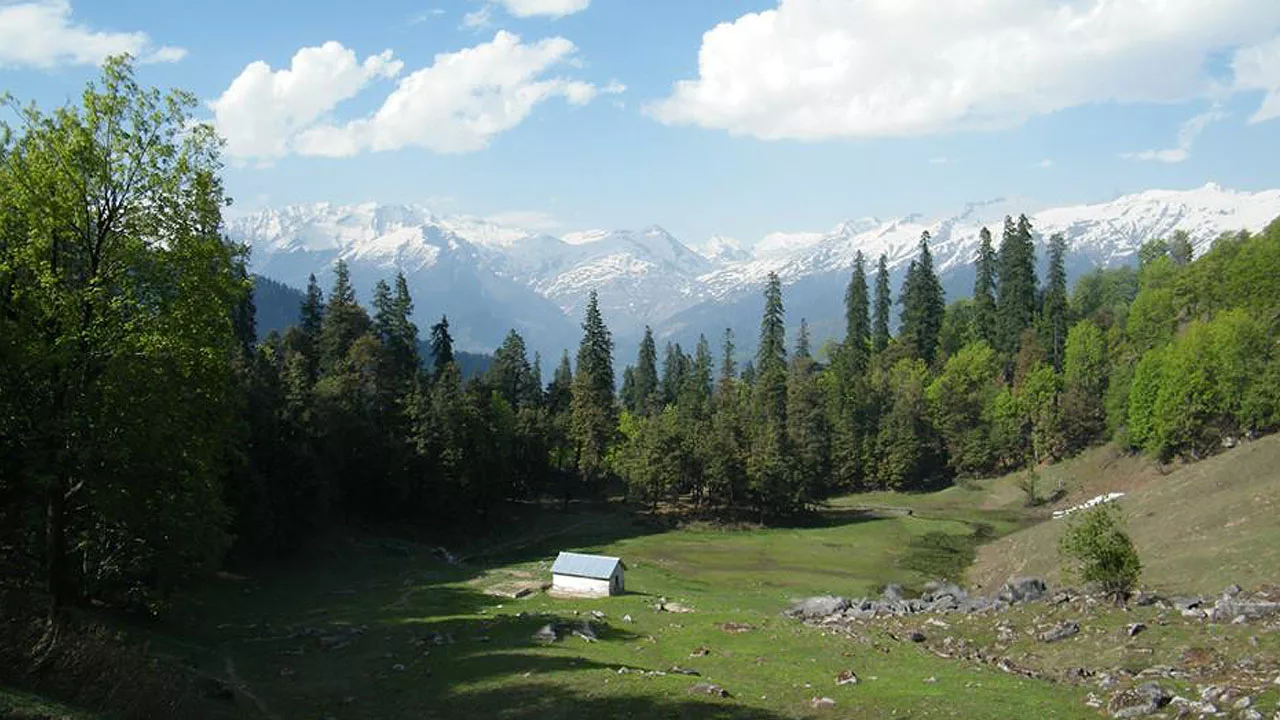 picture of Lamadugh Camp ground