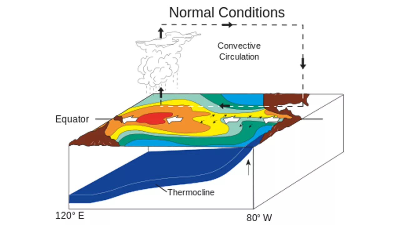 El Nino Normal Conditions