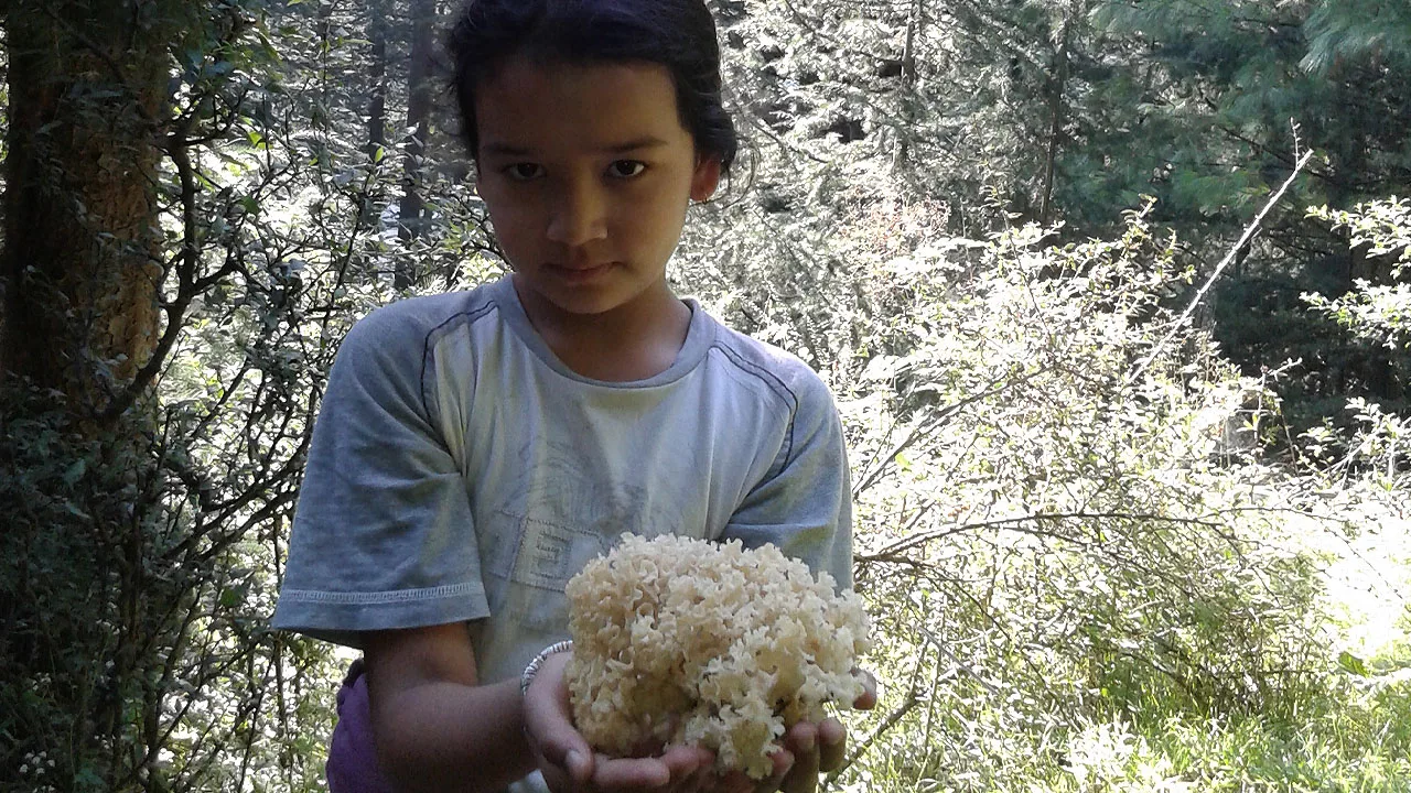 kid carrying cauliflower mushroom during wilderness survival course himalayas