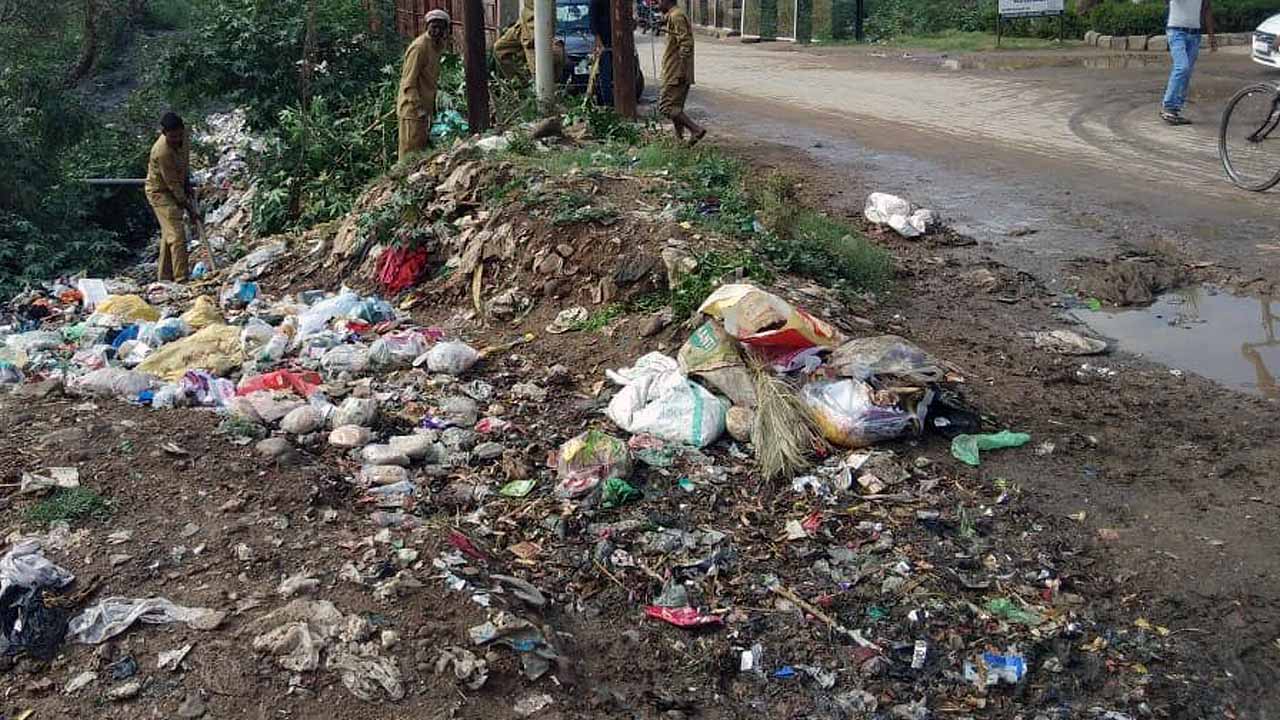 Waste Disposal Next to Road 